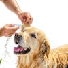 Meidom Dog Ear Cleaner for Pet, with Silicone Flexible Applicator, Alcohol Free, Mild Formula, Eliminates Earwax, Odor, Dust, Relieve Ear Itching (60ml)-3