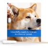 Tris Flush Cat & Dog Ear Cleaner PHMB with 20 Q-Tips 4 fl oz-7