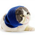 Cat Ear Wrap 2 Pack Anxiety Compression Snood by DDFS Blue Grey Small-0