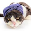 Cat Hematoma Ear Wrap DDFS Soft Breathable Snood for Purple Grey Cats-7