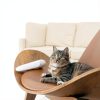 Ear Care Pro for Cats & Dogs- Soothing Relief from Ear Mite & Tick at-Home Ear Comfort with Ozone Technology Cleans Ears & Prevents Infections-8