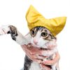 Pet Shower Cap SEZDEKI Waterproof Ear Guard for Cats & Dogs Yellow-3