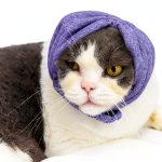 Cat Hematoma Ear Wrap DDFS Soft Breathable Snood for Purple Grey Cats-0
