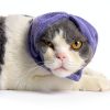 Cat Hematoma Ear Wrap DDFS Soft Breathable Snood for Purple Grey Cats-6