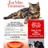BioGroom Ear Mite Treatment Dog Ear Drops Wax Remover 1 fl oz-0