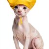 Pet Shower Cap SEZDEKI Waterproof Ear Guard for Cats & Dogs Yellow-0
