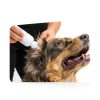 EpiKlean Ear Cleanser for Dogs & Cats Dechra Veterinary 12 oz-6